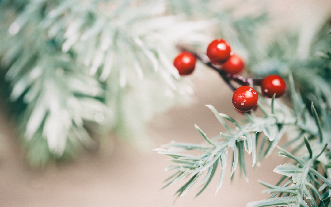 A Love Letter to End the Longest Year Ever